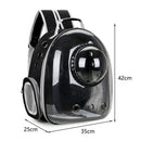 Pet Carrier Breathable Transparent Portable Cat Carrier Backpack Breathable Bubb