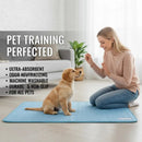 Pet Ice Mats Summer Cat Dog Sofa Nest Bed Cooling Sleeping Pad for Small Dogs Pe