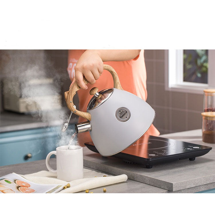 2.5L Whistling Stainless Steel Tea Kettle, iBuyXi.com