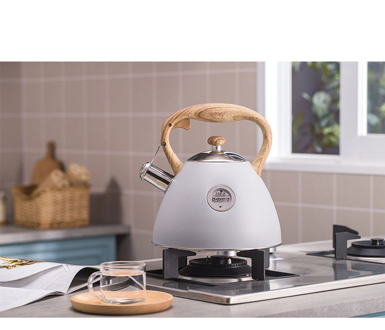 2.5L Whistling Stainless Steel Tea Kettle, iBuyXi.com