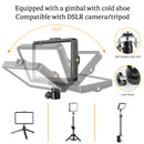 SH 6 Inch LED Video Light With Studio Lamp, ibuyxi.com