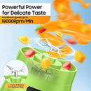 Portable USB Rechargeable Blender, Mini Fruit Juicer