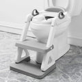 Potty Training Toilet Seat with Adjustable Ladder and Handles