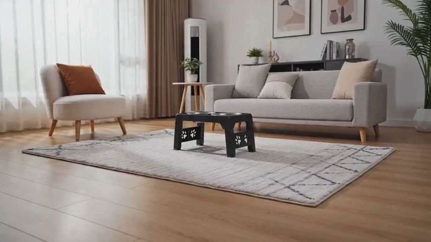 Elevated Raised Slow Feeder Dog Bowl