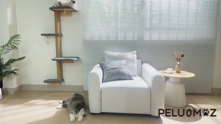 Wall-Mounted Cat Climbing Shelf