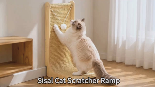 Wooden Sisal Cat Scratcher Ramp with Rolling Balls
