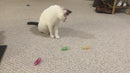 Colorful Cat Spring Toys, 12-Pack