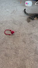 Smart Motion-Sensor Rolling Ball Cat Toy with Tail