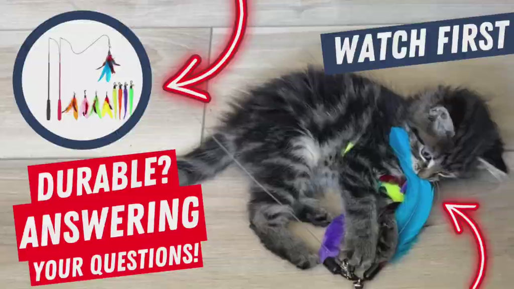 Interactive Cat Feather Wand Teaser Toy
