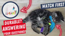 Interactive Cat Feather Wand Teaser Toy