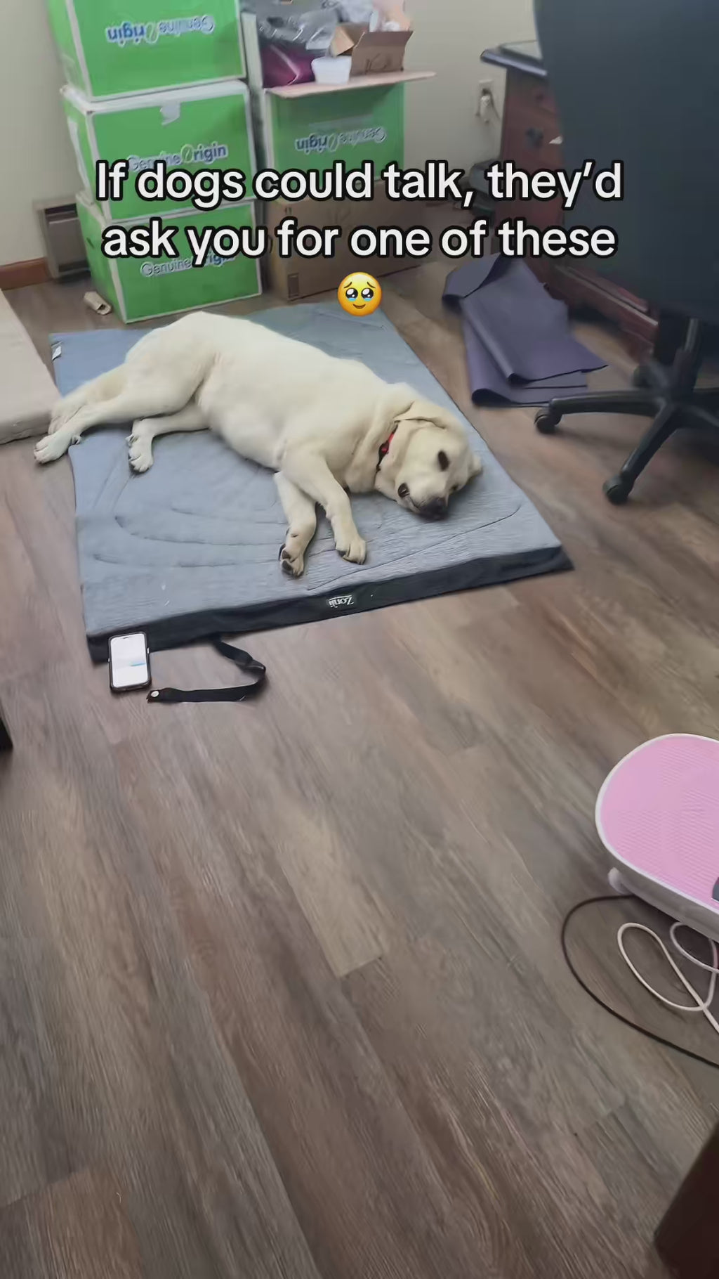 Self-Cooling Gel Mat for Dogs