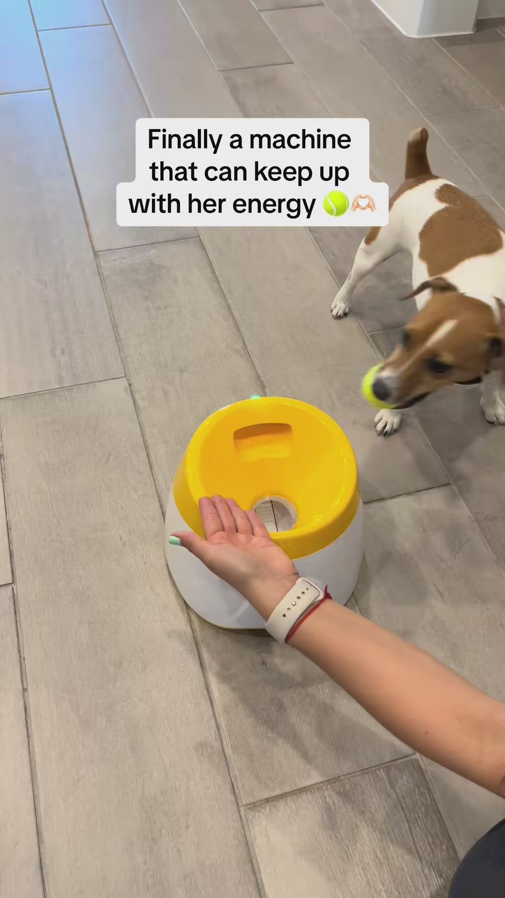 Automatic Dog Ball Launcher