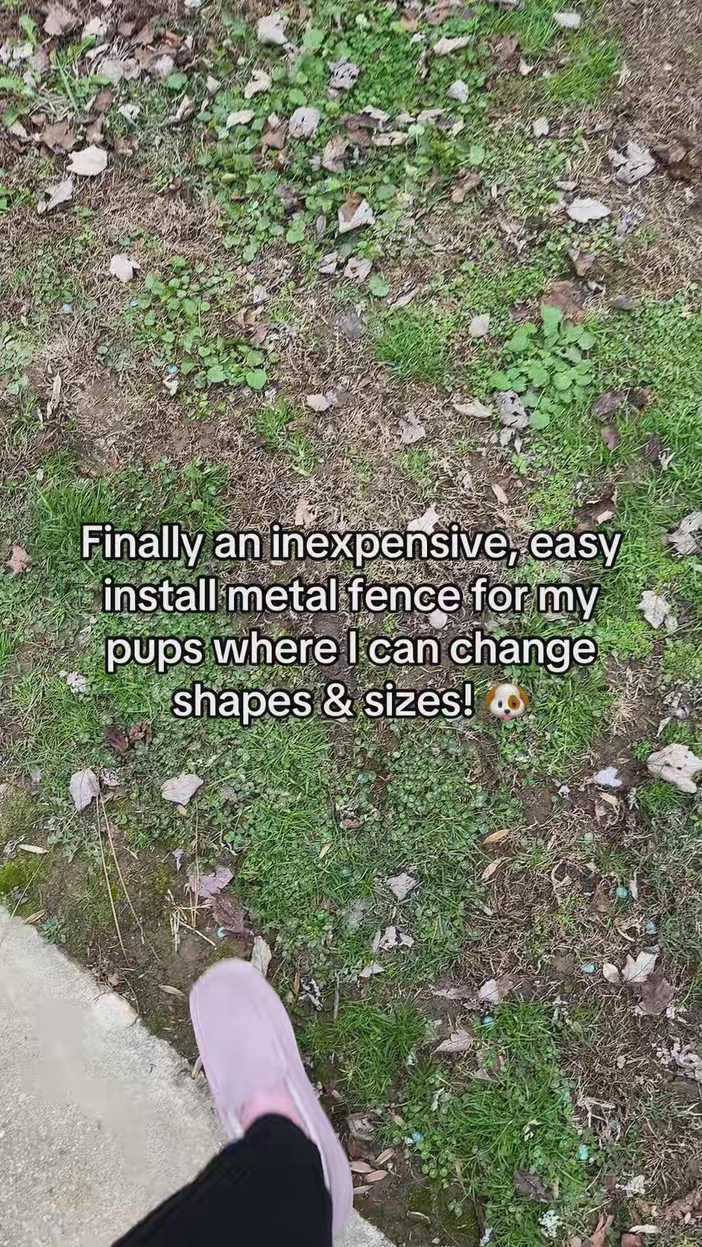 Heavy-Duty Outdoor Dog Kennel with Roof