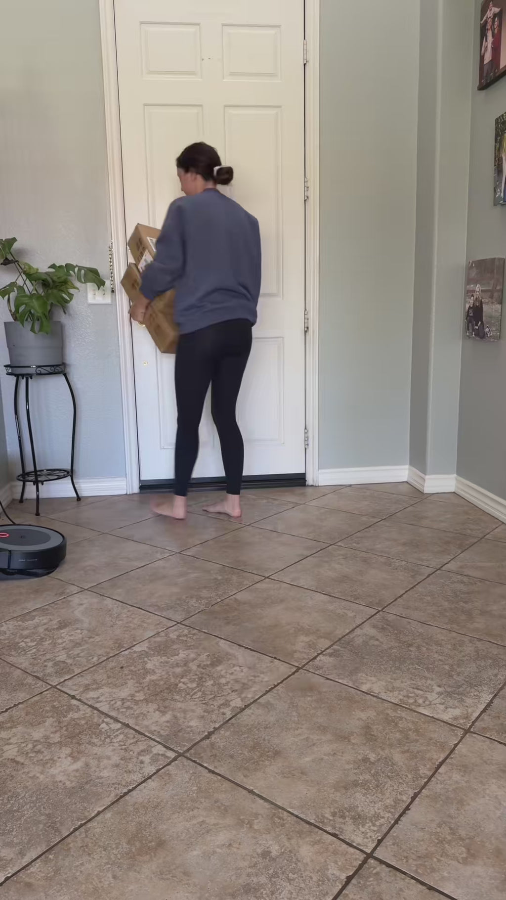 Enclosed Hooded Cat Litter Box with Lid