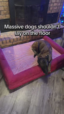 Orthopedic Memory Foam Dog Bed with Bolsters