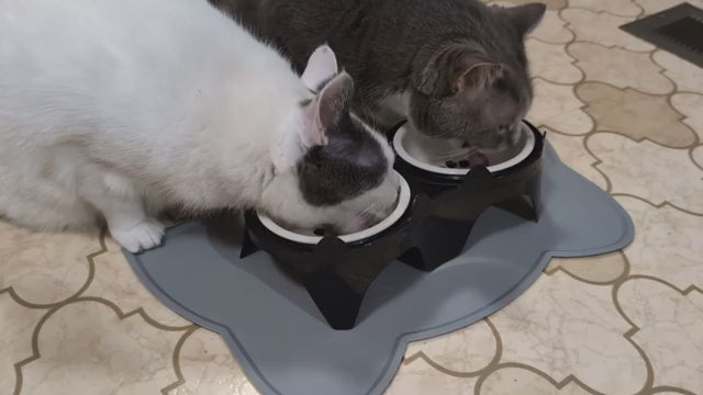Elevated Tilted Ceramic Cat Bowls Set