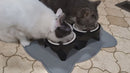 Elevated Tilted Ceramic Cat Bowls Set