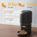 Programmable 4L Automatic Pet Feeder for Small Dogs Cats, Up to 6 Meals Daily
