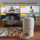 Programmable 4L Automatic Pet Feeder for Small Dogs Cats, Up to 6 Meals Daily
