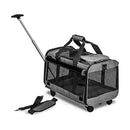 Rolling Pet Carrier with Wheels for Cats & Small Dogs