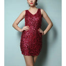 Sequin Party Dress