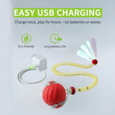 Smart Motion-Sensor Rolling Ball Cat Toy with Tail