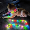 USB Rechargeable LED Dog Collar and Leash Set
