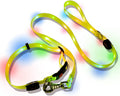 USB Rechargeable LED Dog Collar and Leash Set