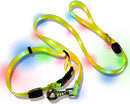 USB Rechargeable LED Dog Collar and Leash Set