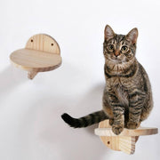 Wall-Mounted Cat Climbing Shelf
