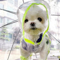 Waterproof Dog Raincoat with Hood