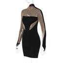 Transparent Mesh Long Sleeve Bodycon Party Mini Dress, ibuyxi.com
