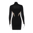 Transparent Mesh Long Sleeve Bodycon Party Mini Dress, ibuyxi.com