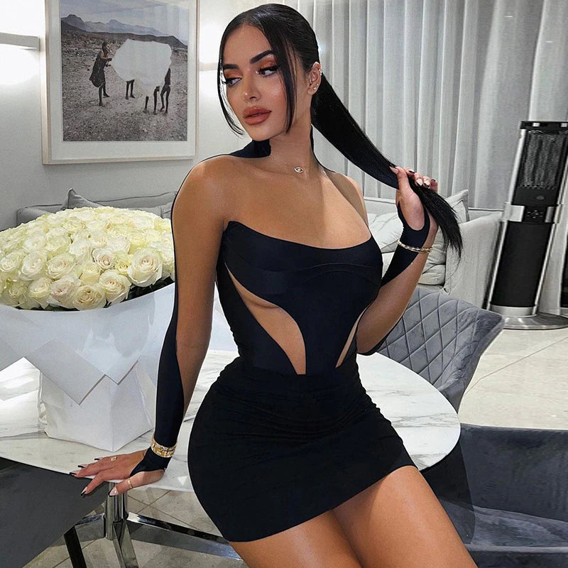 Transparent Mesh Long Sleeve Bodycon Party Mini Dress