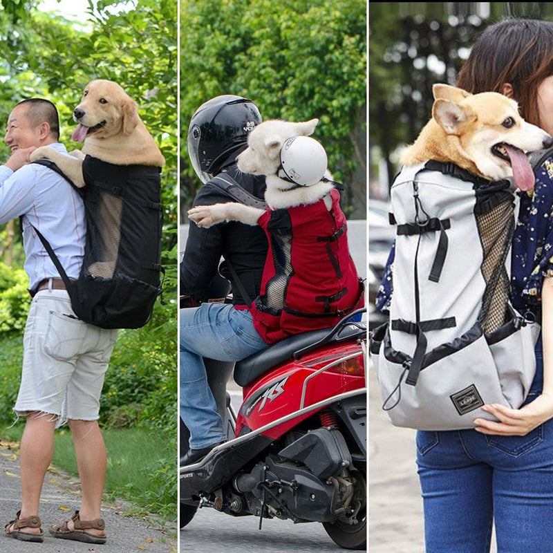 Breathable Carrier Bag for Large Dogs - Main Image