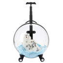 Bubble Trolley Transparent Case Traveling Handbag Carrier, iBuyXi.com