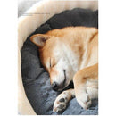 Cat Bed House Puppy Basket Thickening Sofa Mat, iBuyXi.com