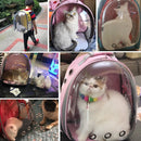 Cat Carrier Bag Breathable, Transparent Puppy Cat Backpacmk Cats Box Cage Small Dog Pet, Travel Carrier Handbag Space Capsule, iBuyXi.com