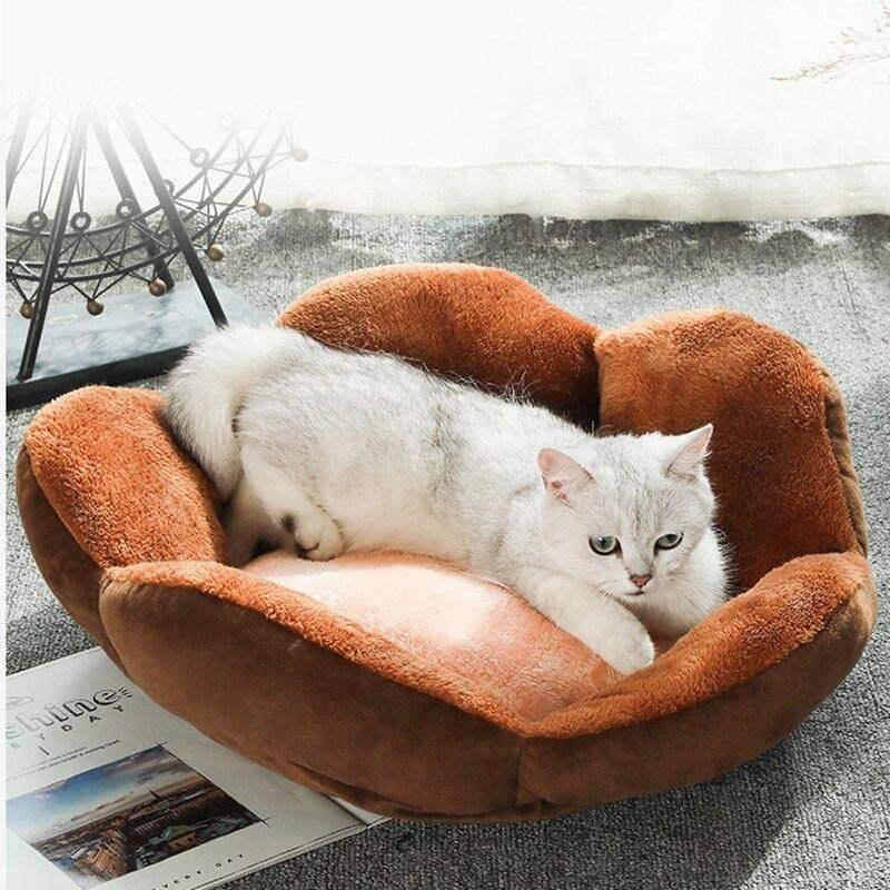 Claw Shape Cat Bed - iBuyXi.com
