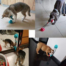 Dog Toy Chewing Ball, iBuyXi.com Shop Unique Selection, Dog Toy, Chewing Ball, Dog Ball, Pet Supplies, Pet, Cleaning Dog Teeth.