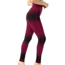 High Waist Seamless Yoga Shorts, iBuyXi.com Online Shopping Store USA, Yoga Leggings, Yoga Pants, Women Clothes, Sporting Goods Vendor, Sports leggings, Women tights, Fitness outfit, GYM Leggings