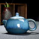 Star Glazed Teapot and Kettle for Tea Lovers, ibuyxi.com