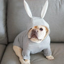 Cute French Bulldog Hooded Coat Jacket, ibuyxi.com