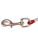 Pet Double Leash, Visit iBuyXi.com for Online Shopping and Shop the Unique Selection, Dog, Dog Leash, Double Leash, Dog Double Leash.