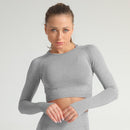 Purple Seamless Yoga Suit. Shop Online at iBuyXi.com, Yoga suit, training outfit, fitness clothes, women clothing, women sporting goods, sports bra, training bra, fitness suit, purple tops and bottom, yoga suit, yoga tops, yoga bottom, yoga shirt, leggings, fitness clothes