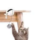 Interactive Lifting Ball Cat Toy, iBuyXi.com