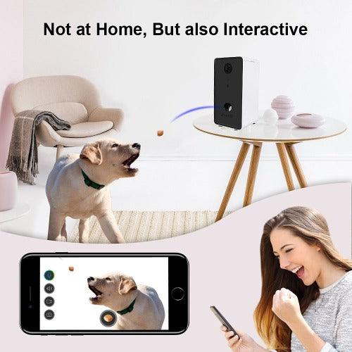 Interactive Pet Feeder With Voice Camera, Automatic Pets Food Bowl For Small Medium Dog, Cat Night Wifi Vision Cam 0.5L, Full HD Wifi Pet Camera and 2-Way Audio, iBuyXi.com