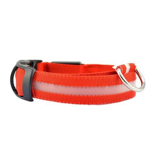 LED Dog Collar - iBuyXi.com