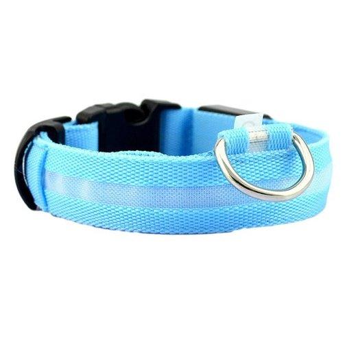 LED Dog Collar - iBuyXi.com