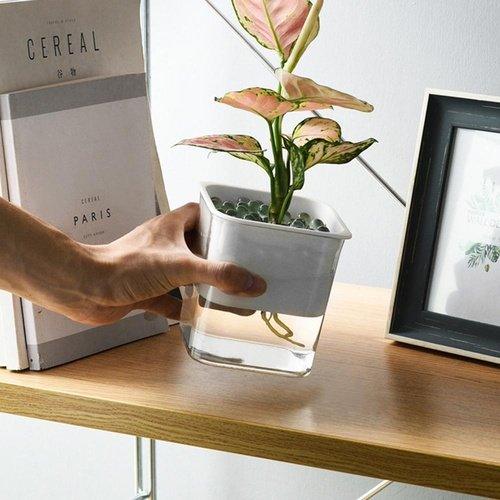 Office Transparent Automatic Water-absorbing Plant